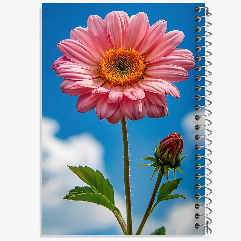 دفتر مشق 50 برگ خندالو طرح گل داوودی کد F12034