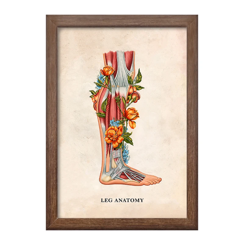 تابلو خندالو طرح آناتومی پا (Foot Anatomy کد F14015