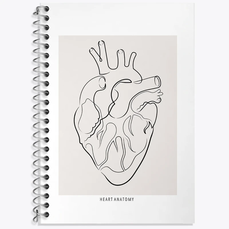 دفتر زبان 50 برگ خندالو مدل سه خط طرح آناتومی قلب (Heart Anatomy) کد F13896