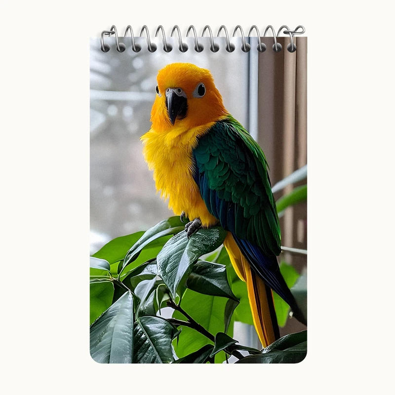 دفتر یادداشت 50 برگ خندالو طرح طوطی کد F7811