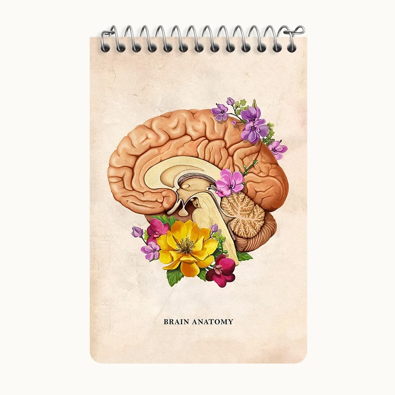 دفتر یادداشت 50 برگ خندالو طرح آناتومی مغز (Brain Anatomy) کد F13970