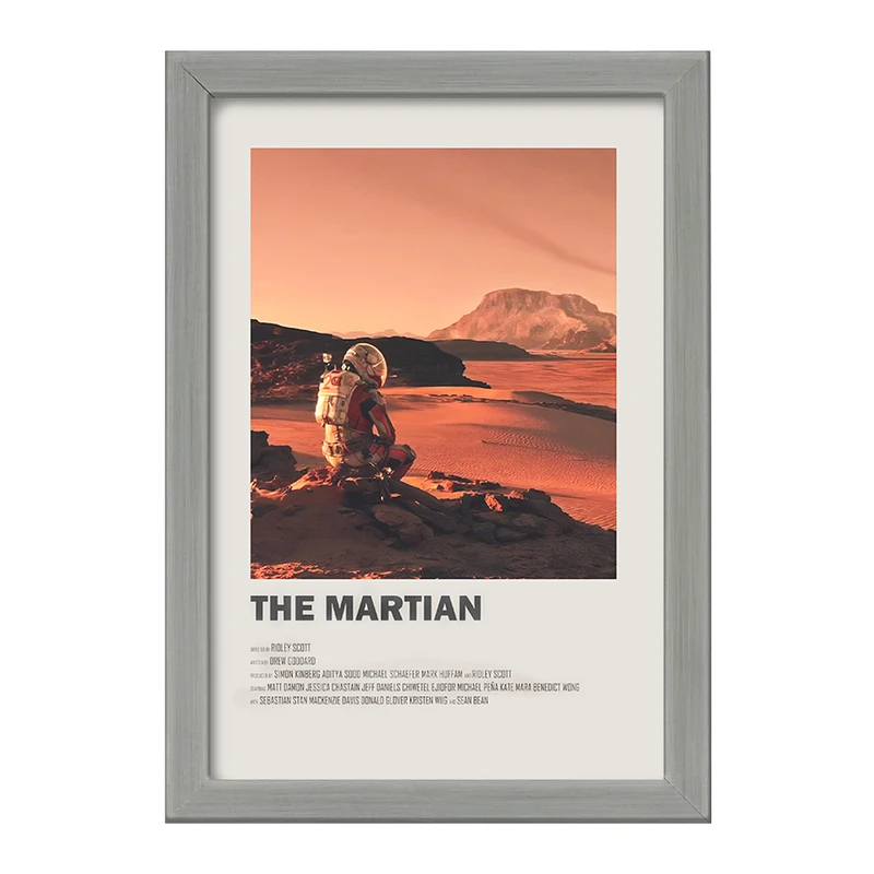 تابلو خندالو طرح مریخی (The Martian) کد F13279