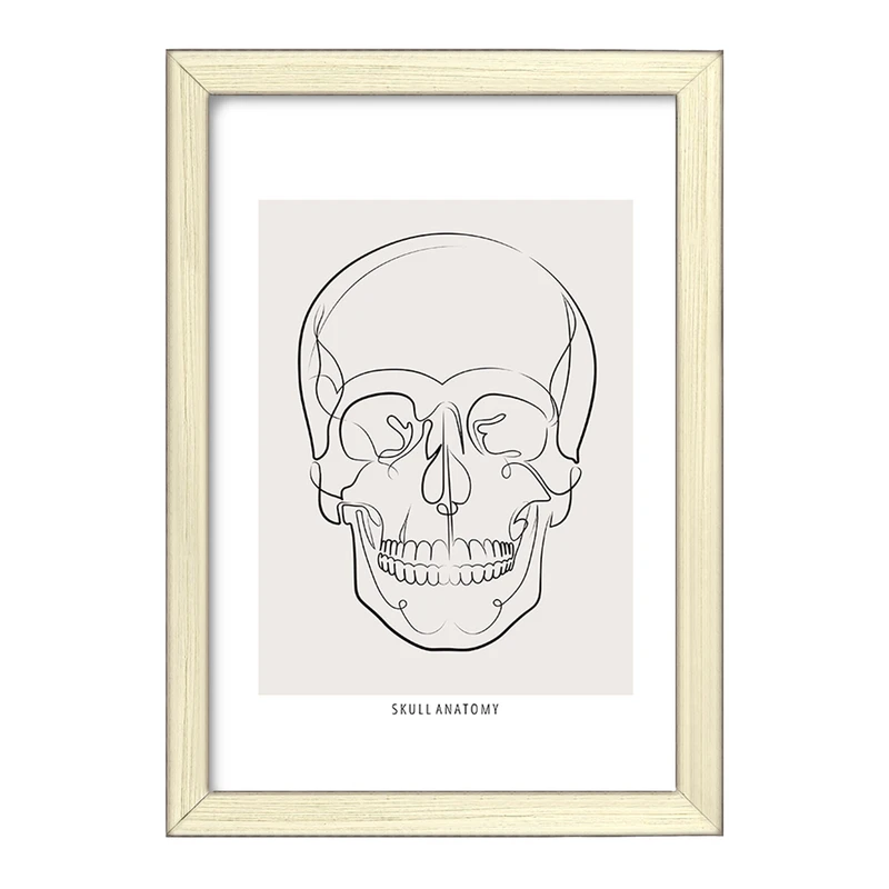 تابلو خندالو طرح آناتومی اسکلت سر (Skull Anatomy) کد F13893