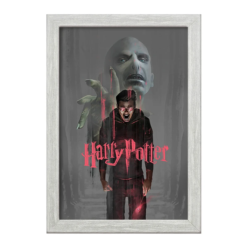 تابلو خندالو طرح هری پاتر (Harry Potter) کد F116