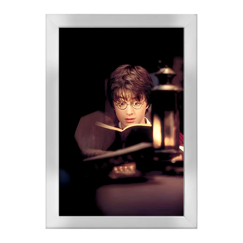 تابلو خندالو طرح هری پاتر (Harry Potter) کد F6001