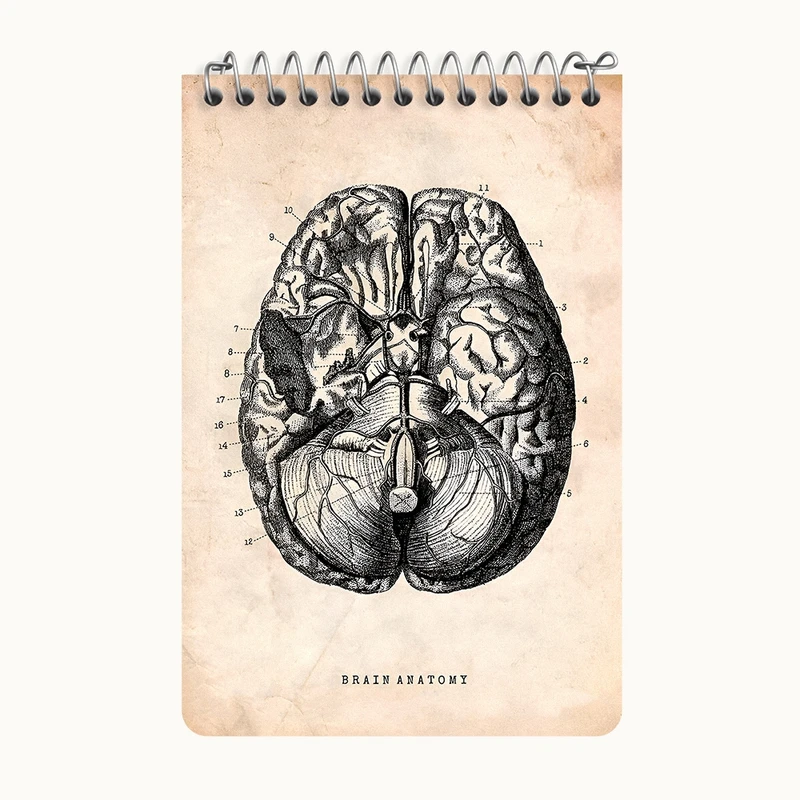 دفتر یادداشت 50 برگ خندالو طرح آناتومی مغز (Brain Anatomy) کد F13946