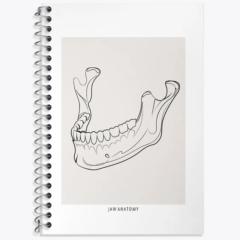 دفتر زبان 50 برگ خندالو مدل سه خط طرح آناتومی فک (Jaw Anatomy) کد F13939