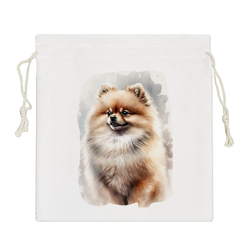 نظم دهنده خندالو مدل سگ نژاد پامرانین کد 2936-S