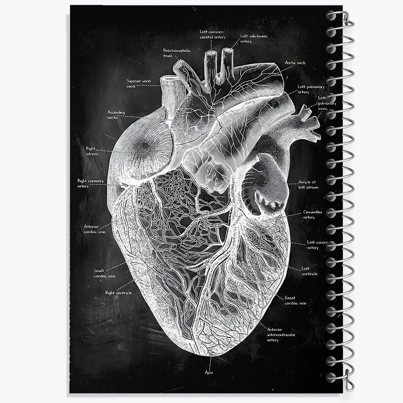دفتر مشق 100 برگ خندالو طرح آناتومی قلب (Heart Anatomy) کد F13956