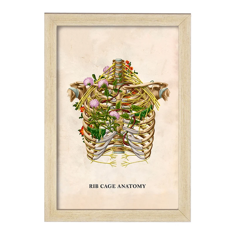 تابلو خندالو طرح آناتومی قفسه سینه (Rib Cage Anatomy) کد F13995