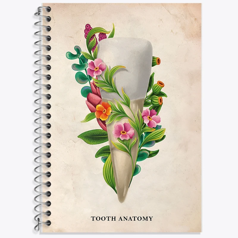 دفتر زبان 50 برگ خندالو مدل سه خط طرح آناتومی دندان (Tooth Anatomy) کد F13982