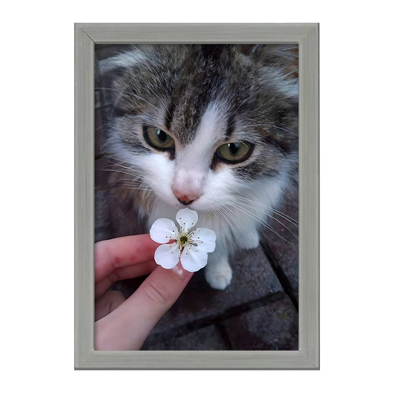 تابلو خندالو طرح گربه (Cat) کد F1321