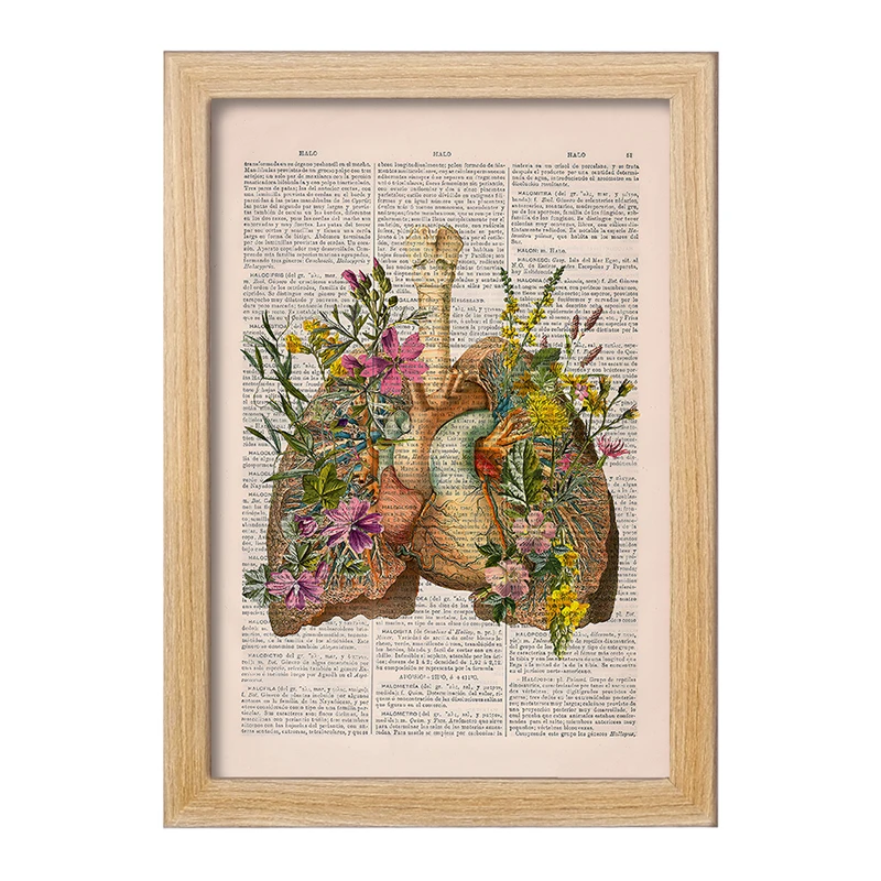 تابلو خندالو طرح آناتومی ریه ها (Lungs Anatomy) کد F14040