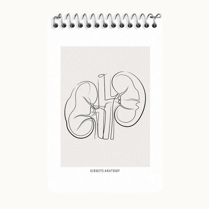 دفتر یادداشت 50 برگ خندالو طرح آناتومی کلیه ها (kidneys Anatomy) کد F13901