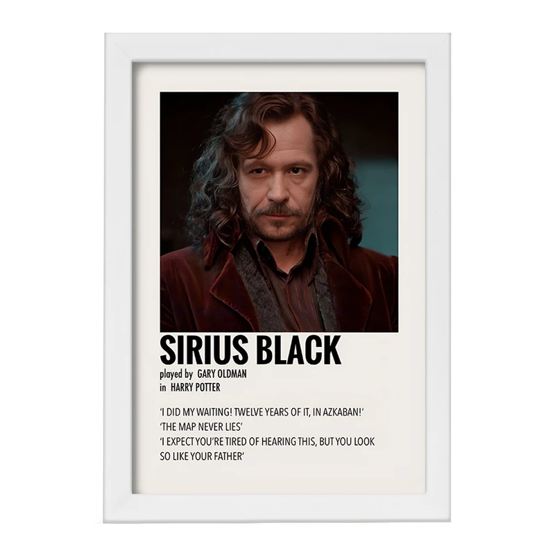 تابلو خندالو طرح سیریوس بلک (Sirius Black) کد F13398