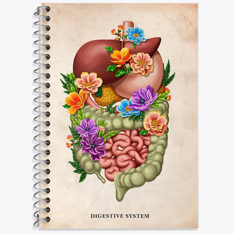 دفتر زبان دوخط 50 برگ خندالو طرح سیستم گوارش (Digestive System) کد F13971