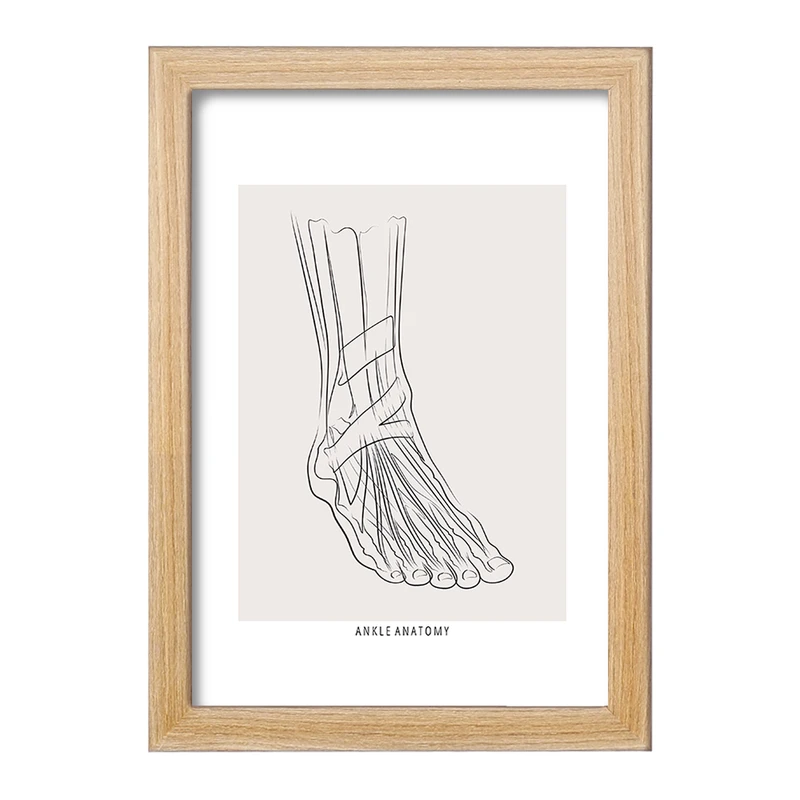 تابلو خندالو طرح آناتومی مچ پا (Ankle Anatomy) کد F13926