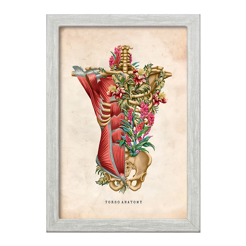 تابلو خندالو طرح آناتومی تروسو (Troso System) کد F13964