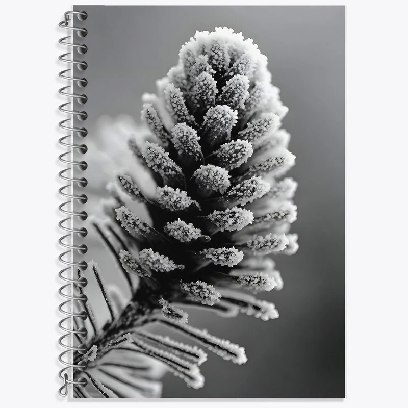 دفتر نت موسیقی 50 برگ خندالو طرح کاج برفی کد F9869