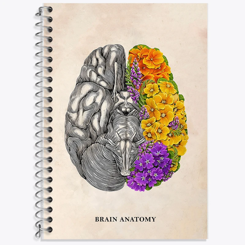 دفتر نت موسیقی 50 برگ خندالو طرح آناتومی مغز (Brain Anatomy) کد F14025