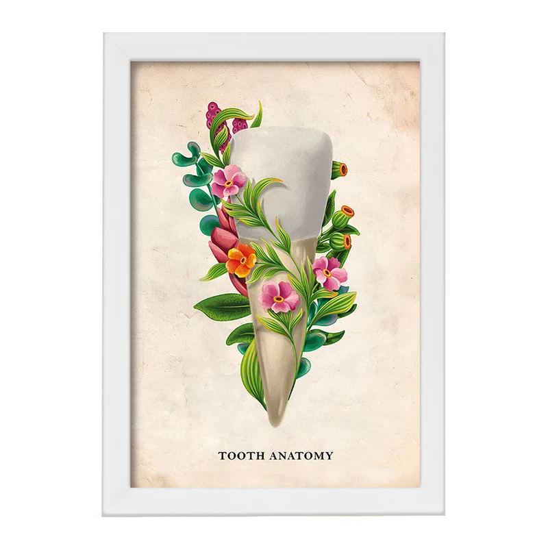 تابلو خندالو طرح آناتومی دندان (Tooth Anatomy) کد F13982
