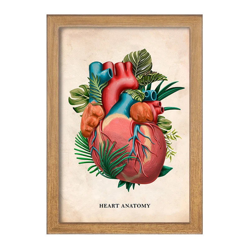 تابلو خندالو طرح آناتومی قلب (Heart Anatomy) کد F13986