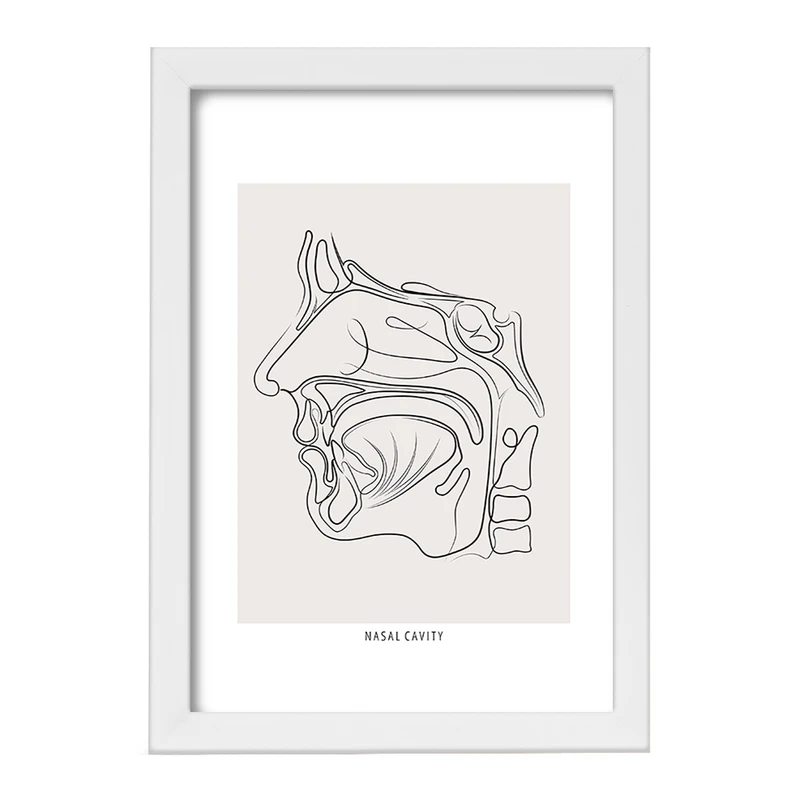 تابلو خندالو طرح حفره بینی (Nasal Cavity) کد F13931