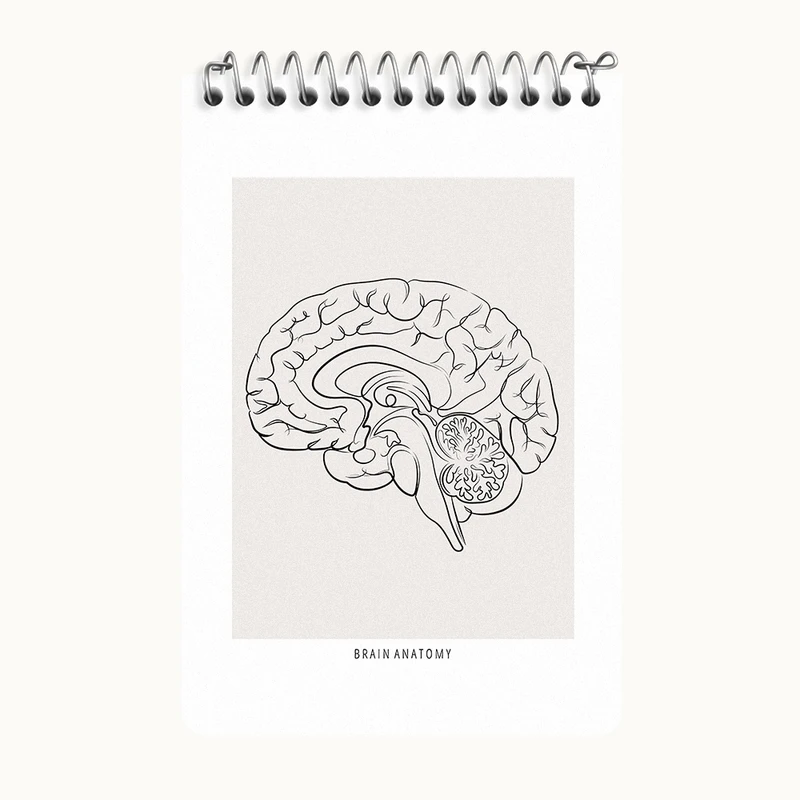 دفتر یادداشت 50 برگ خندالو طرح آناتومی مغز (Brain Anatomy) کد F13891
