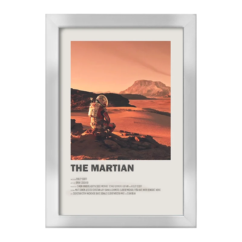 تابلو خندالو طرح مریخی (The Martian) کد F13279