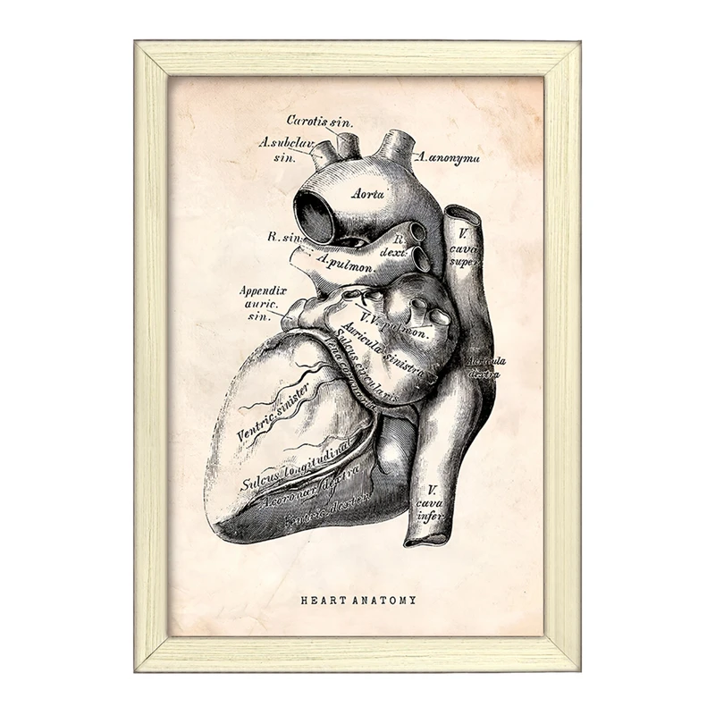 تابلو خندالو طرح آناتومی قلب (Heart Anatomy) کد F13944