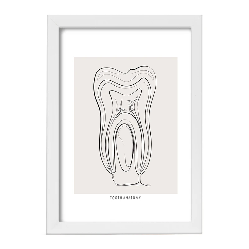 تابلو خندالو طرح آناتومی دندان (Tooth Anatomy) کد F13937