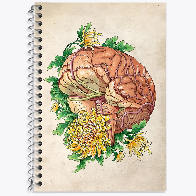 دفتر نت موسیقی 50 برگ خندالو طرح آناتومی مغز (Brain Anatomy) کد F13997