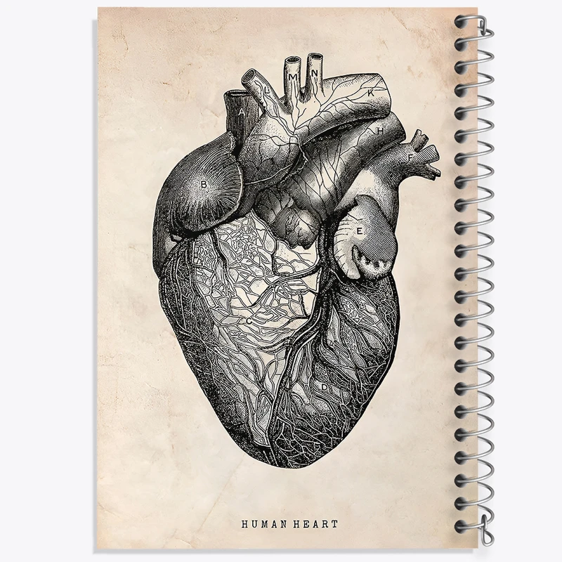 دفتر مشق 50 برگ خندالو طرح آناتومی قلب (Heart Anatomy) کد F13941