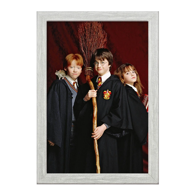 تابلو خندالو طرح رون و هرمیون و هری پاتر Harry Potter  کد 2914
