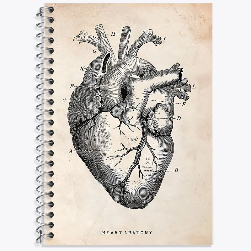 دفتر لغت 50 برگ خندالو طرح آناتومی قلب (Heart Anatomy) کد F13940