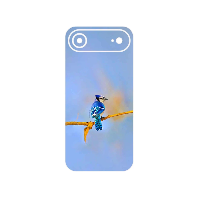 برچسب پوششی ماهوت مدل Cyanocitta cristata مناسب برای گوشی موبایل اپل iPhone 17 Air