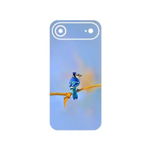 MAHOOT Cyanocitta cristata Cover Sticker for Apple iPhone 17 Air