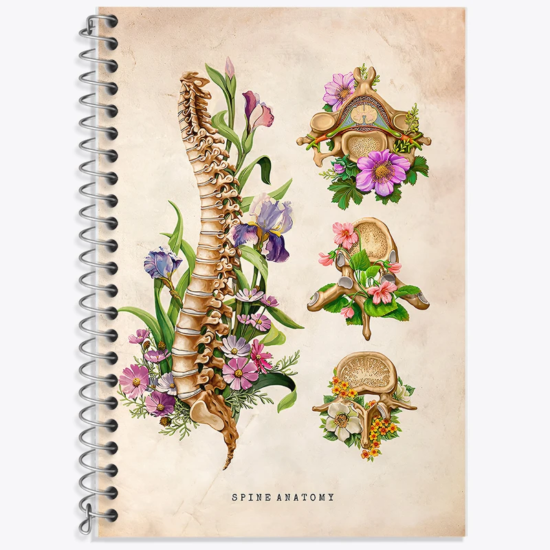 دفتر زبان دوخط 50 برگ خندالو طرح آناتومی ستون فقرات (Spine Anatomy) کد F13967