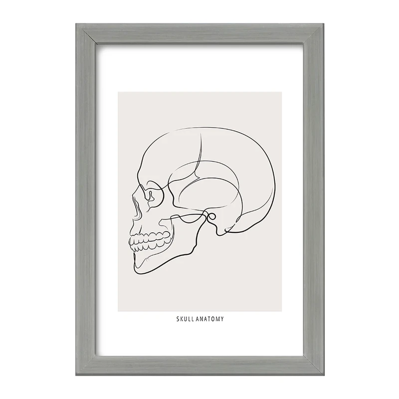 تابلو خندالو طرح آناتومی اسکلت سر از نیم رخ کد F13894