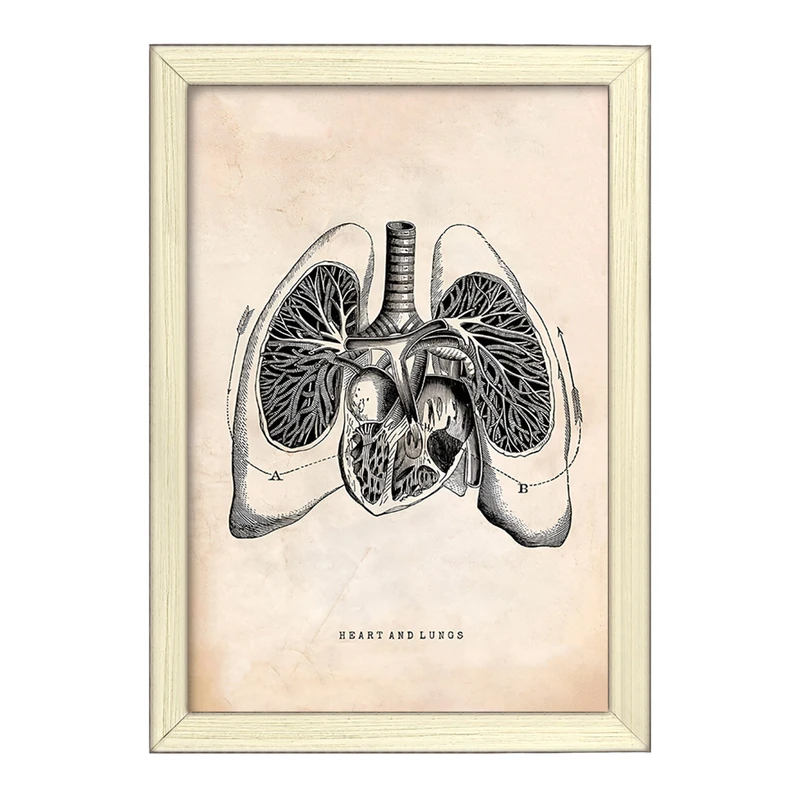 تابلو خندالو طرح آناتومی قلب (Heart Anatomy) کد F13952