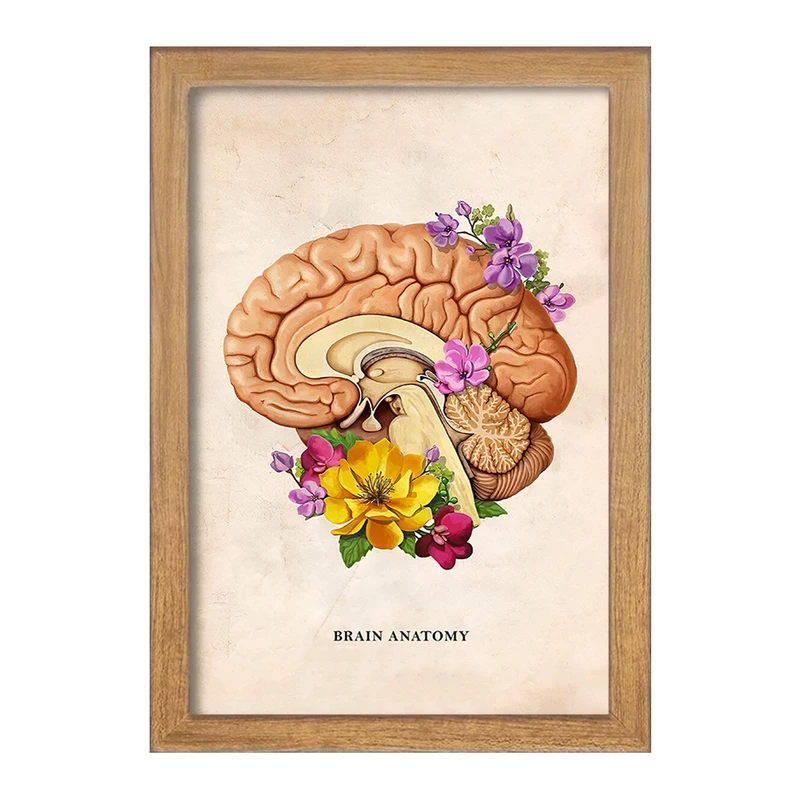 تابلو خندالو طرح آناتومی مغز (Brain Anatomy) کد F13970