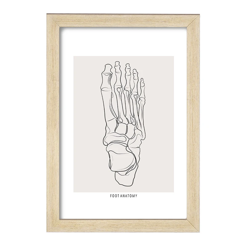 تابلو خندالو طرح آناتومی پا (Foot Anatomy) کد F13921