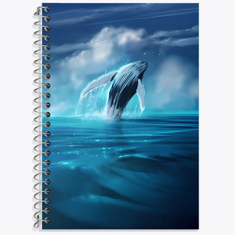 دفتر نت موسیقی 50 برگ خندالو طرح وال کد F9556