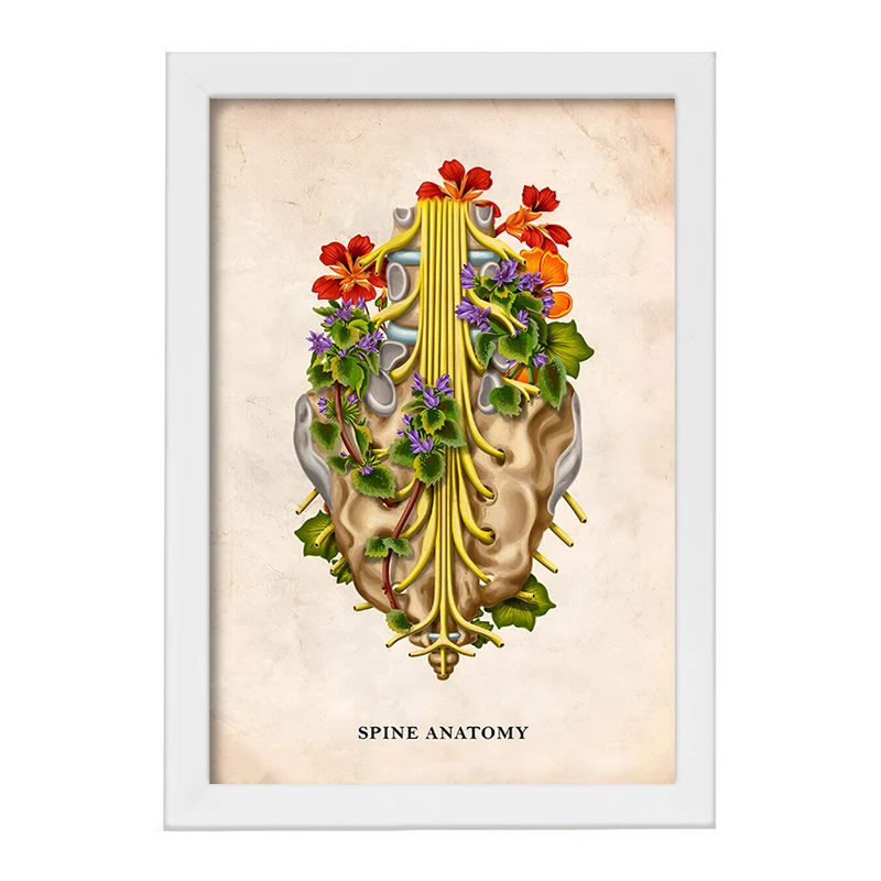 تابلو خندالو طرح آناتومی ستون فقرات (Spine Anatomy) کد F13983