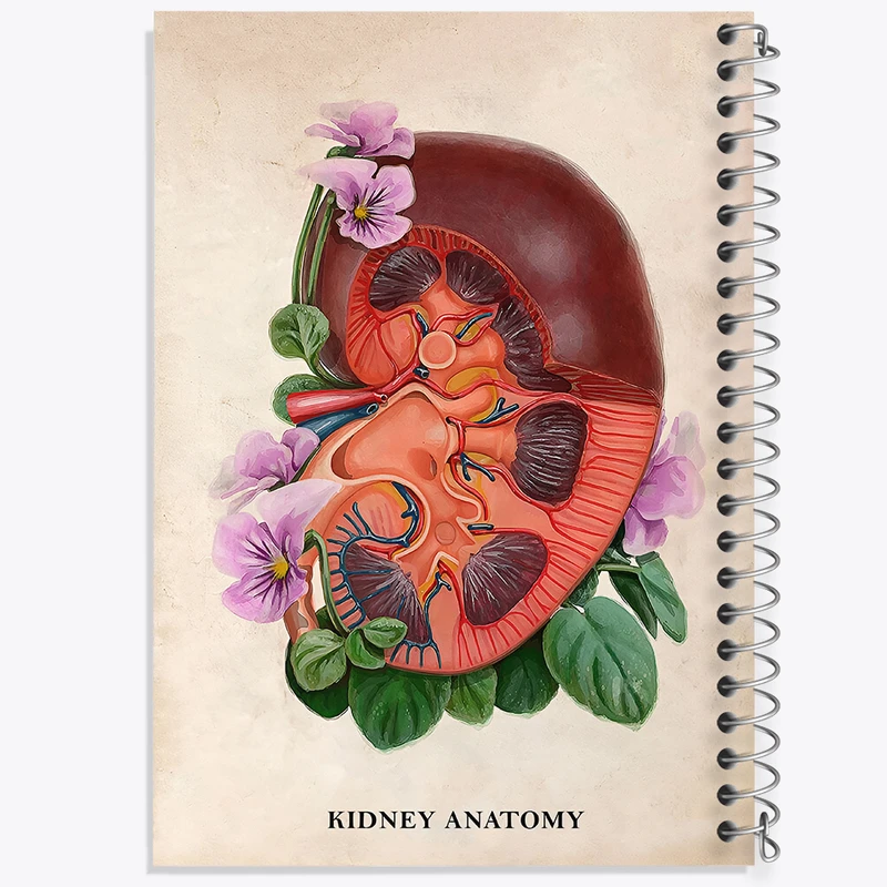 دفتر مشق 50 برگ خندالو طرح آناتومی کلیه (kidney Anatomy) کد F14011