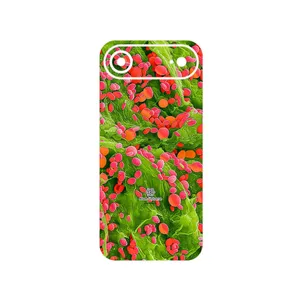MAHOOT Atom Universe 3 Cover Sticker for Apple iPhone 17 Air