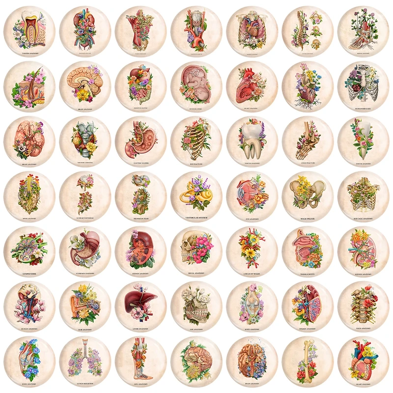 مگنت خندالو مدل آناتومی اعضای بدن انسان کد 190 مجموعه 49 عددی
