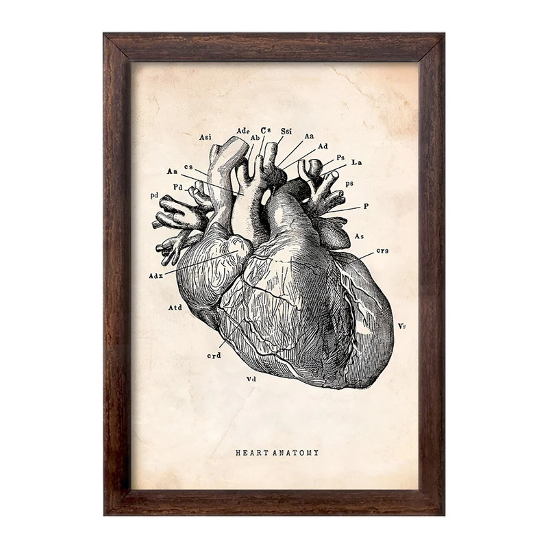 تابلو خندالو طرح آناتومی قلب (Heart Anatomy) کد F13942