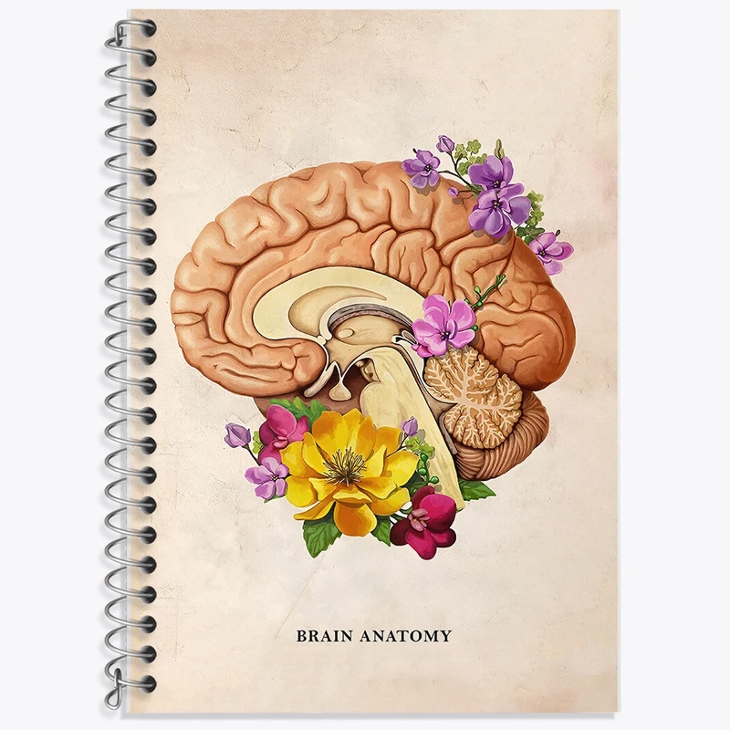 دفتر زبان 50 برگ خندالو مدل سه خط طرح آناتومی مغز (Brain Anatomy) کد F13970