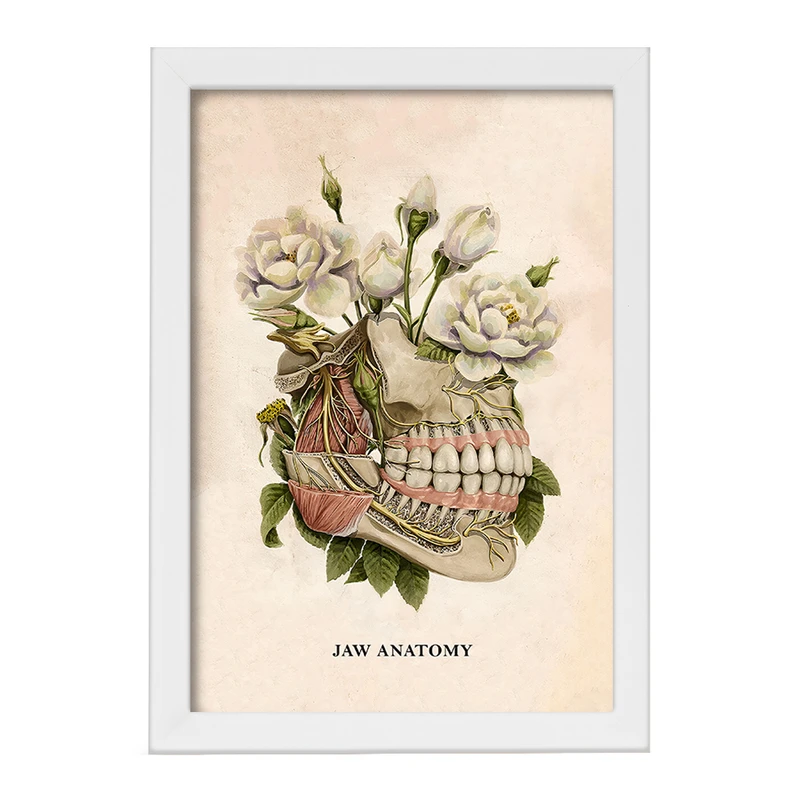تابلو خندالو طرح آناتومی فک (Jaw Anatomy) کد F14026